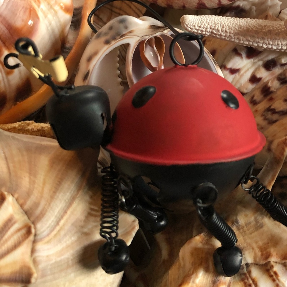 Lady Bug 🐞 🎶 Red & Black, Spring Legs, Bells for Feet 🎶